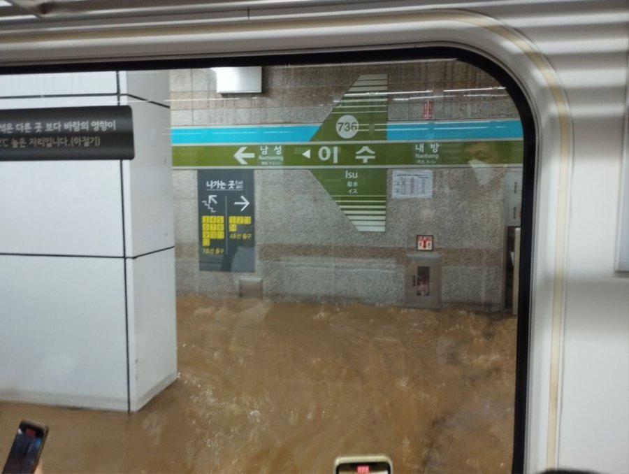 원본확인 클릭