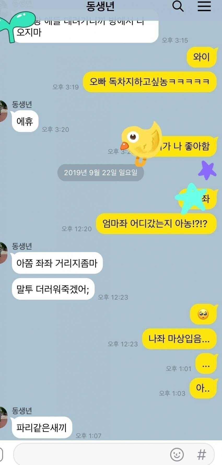 여동생 일베 