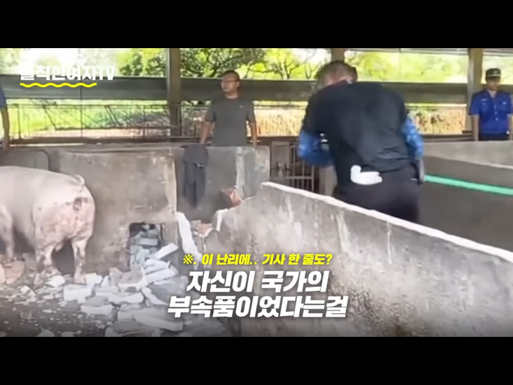 원본확인 클릭
