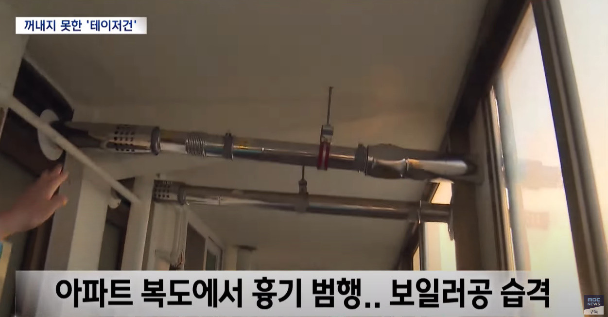 원본확인 클릭