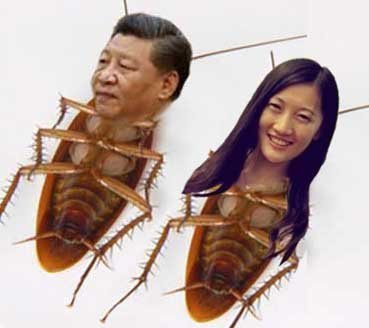 원본확인 클릭