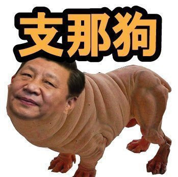 원본확인 클릭