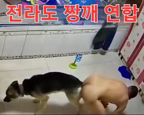 원본확인 클릭