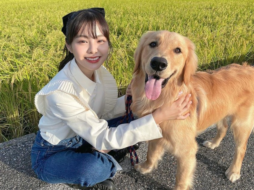 원본확인 클릭