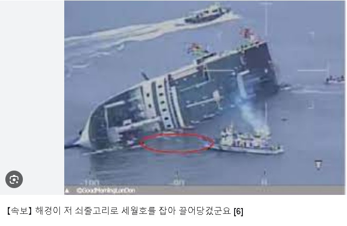 원본확인 클릭