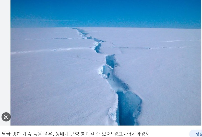 원본확인 클릭