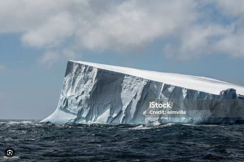 원본확인 클릭